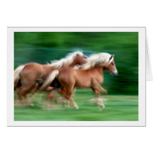 Racing Palomino Horses Greeting Card