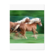 Racing Palomino Horses Postcard