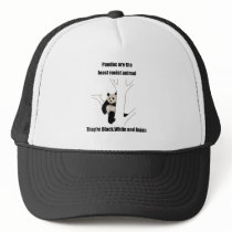 Racist panda