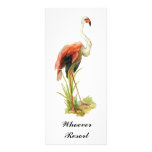 Rack Card Flamingo Resort, Cruise, etc rack cards