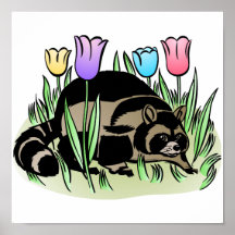 Racoon and Tulips Posters