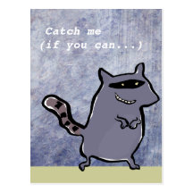 racoon - customizable post cards