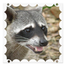 Racoon Face Invitation