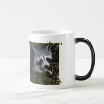 Racoon Morphing Mug-Right Handed