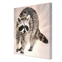 Racoon plain flash background stretched canvas prints