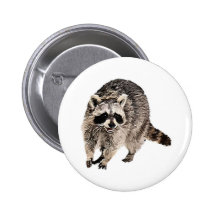 Racoon plain pinback button