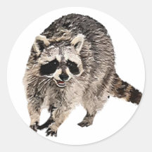 Racoon plain stickers