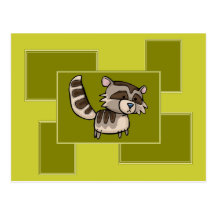 racoon postcard