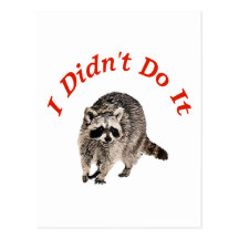 Racoon Postcards