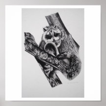 Racoon Print