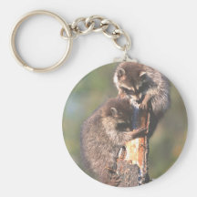 Racoons on Stump Keychains