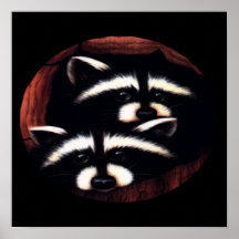 Racoons Poster