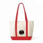 Rad Record Bag