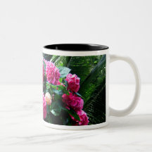 Radiant Pinks Mug