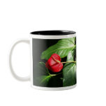 Radiant Red Coffee Mugs