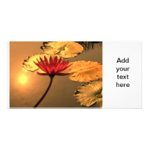 Radiant Water Lily with the Sun Reflecting Personalized Photo Card