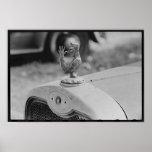 Radiator Cap, Laurel Mississippi posters