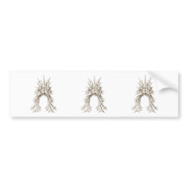 Radiolaria Bumper Sticker