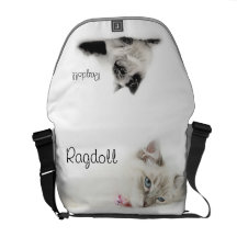 ragdoll bag courier bag