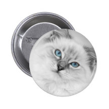 ragdoll button