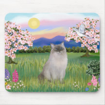 Ragdoll Cat (Blue Point) - Blossoms Mouse Pads