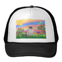 Ragdoll Cat (Blue Point) - Day Star Hat