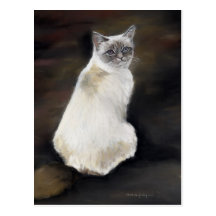 Ragdoll Cat Original Art Postcard
