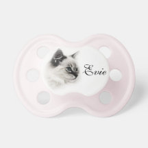 Ragdoll Cat Pacifier