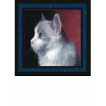 Ragdoll Cat with Stars Shirt