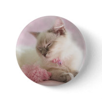 ragdoll kitten button