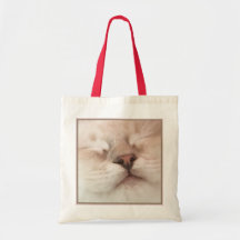 ragdoll kitten face bag