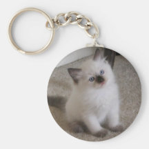 Ragdoll Kitten Key Chain