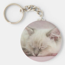 ragdoll kitten keychain
