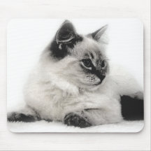 ragdoll kitten mousepad
