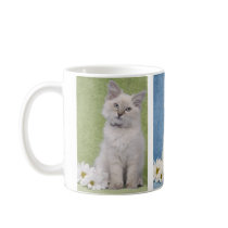 Ragdoll kitten mug