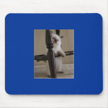 Ragdoll Kitty Mouse Pad