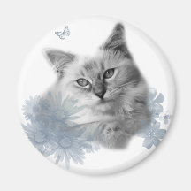 ragdoll magnet
