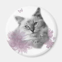ragdoll magnet