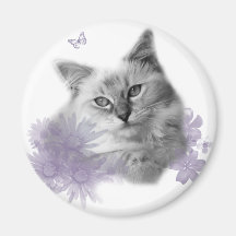 ragdoll magnet