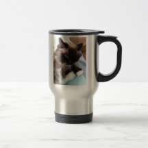 Ragdoll mok