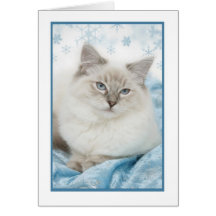 ragdoll winter notecard