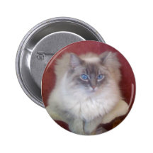 Ragdolls Pinback Button