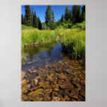 Ragged Mountain Pond Posters
