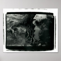 Ragged Tree Poster