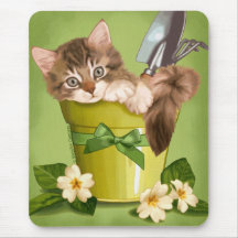 Ragondin du Maine Tapis De Souris