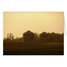 Rain and Sun Cards