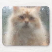 Rain Cat Mousepad