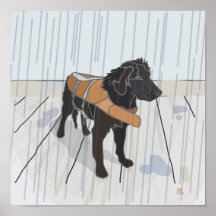 Rain Dog Posters