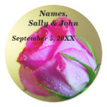 Rain Drop Kisses of Nature on Pink Rose stickers