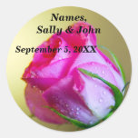 Rain Drop Kisses of Nature on Pink Rose Stickers